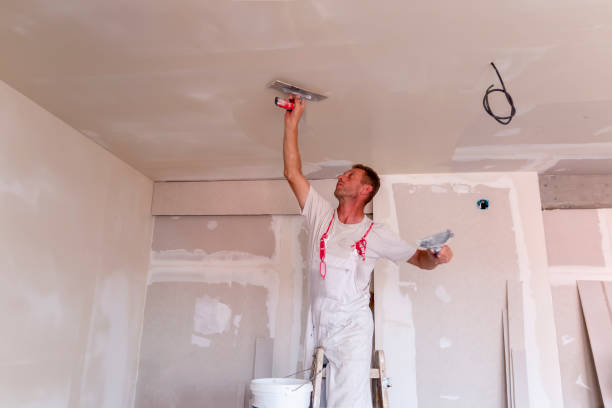 Best Wallpaper Removal and Painting  in Horatio, AR